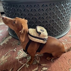 NWOT XS DOG HARNESS / BACKPACK HARNESS